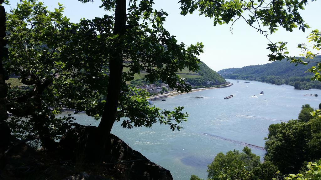 Eismauer Suite Ruedesheim am Rhein Ngoại thất bức ảnh