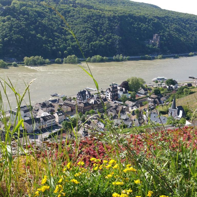 Eismauer Suite Ruedesheim am Rhein Ngoại thất bức ảnh